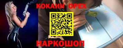гашик Гудермес