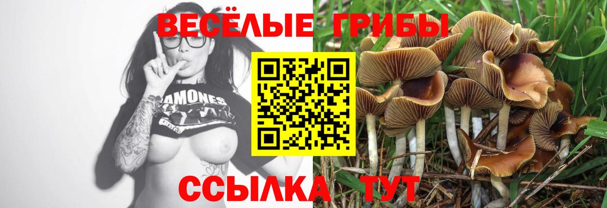 Псилоцибиновые грибы мухоморы Орехово-Зуево